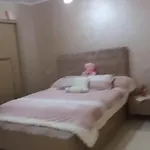 شقة