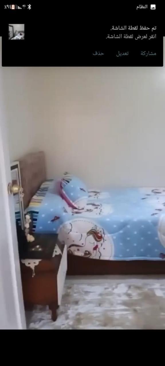 شقة