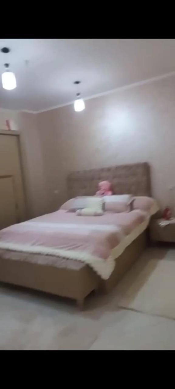 Apartment شقة *